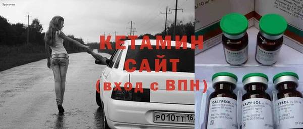 сатива Беломорск