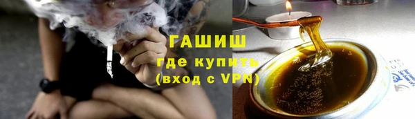 сатива Беломорск