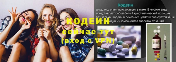 сатива Беломорск