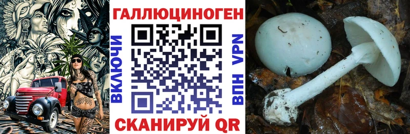 Галлюциногенные грибы MAGIC MUSHROOMS Конаково
